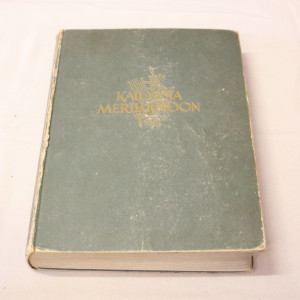 Uuno Kailaasta Aila Meriluotoon - suomalaisten kirjailijain elämäkertoja